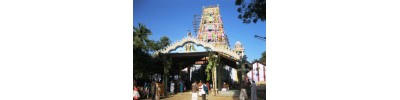 விசவத்தனை முருகன் கோயில் - பண்ணாகம் 